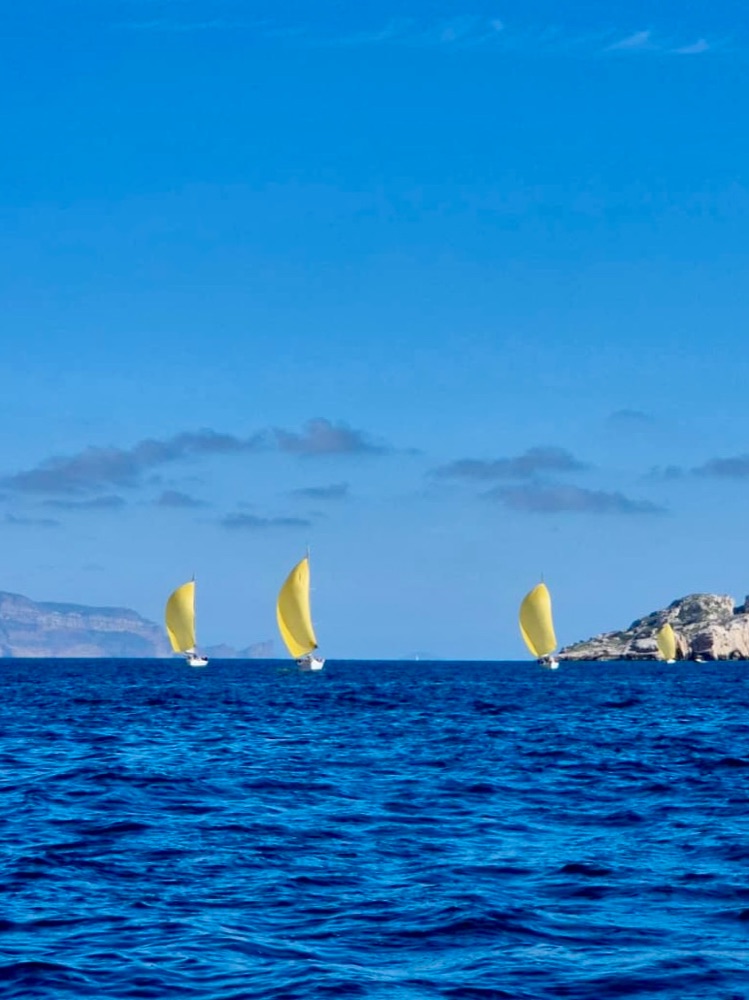 Boats racing under yellow spinnakers off the Frioul islands
